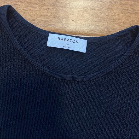 Babaton Aritzia Tanks - Picture 5 of 5